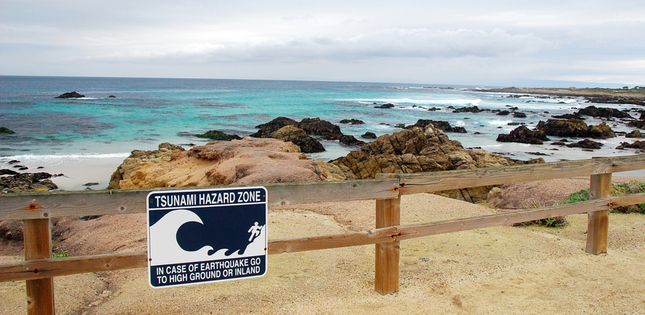 Tsunami - 20210216_research_ai_tsunami_t